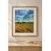 Ukrainian Gold. Wheat Fields — Original Oil Painting
